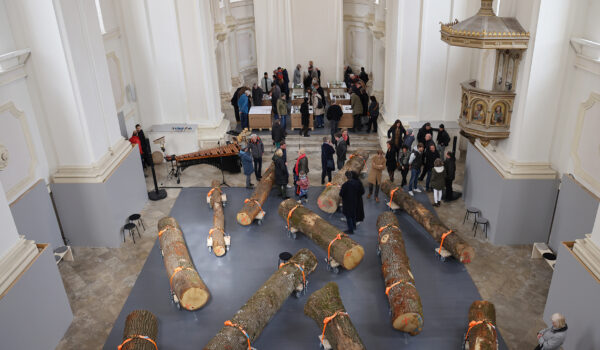 Am letzten Tag der Ausstellung „MARKUS HEINSDORFF · REGEN – WALD 2 – LEBEN UNTER BÄUMEN“, Sonntag, 16. Juli um 15 Uhr, lädt der Künstler Markus Heinsdorff nochmals zur Führung in die Studienkirche St. Josef in Burghausen ein.