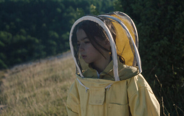 20.000 Arten von Bienen © DCM 20.000 Arten von Bienen © DCM