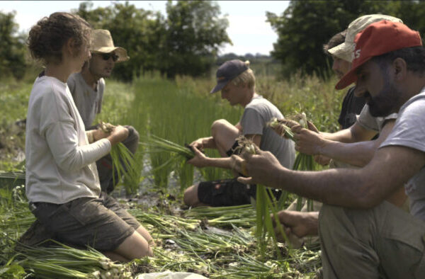 Das Kombinat Das Kombinat