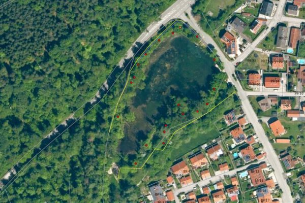 Biberzaun um den Scheuerhofweiher errichtet - die gelben Linien zeigen den Zaunverlauf, die roten Punkte den Einzelbaumschutz