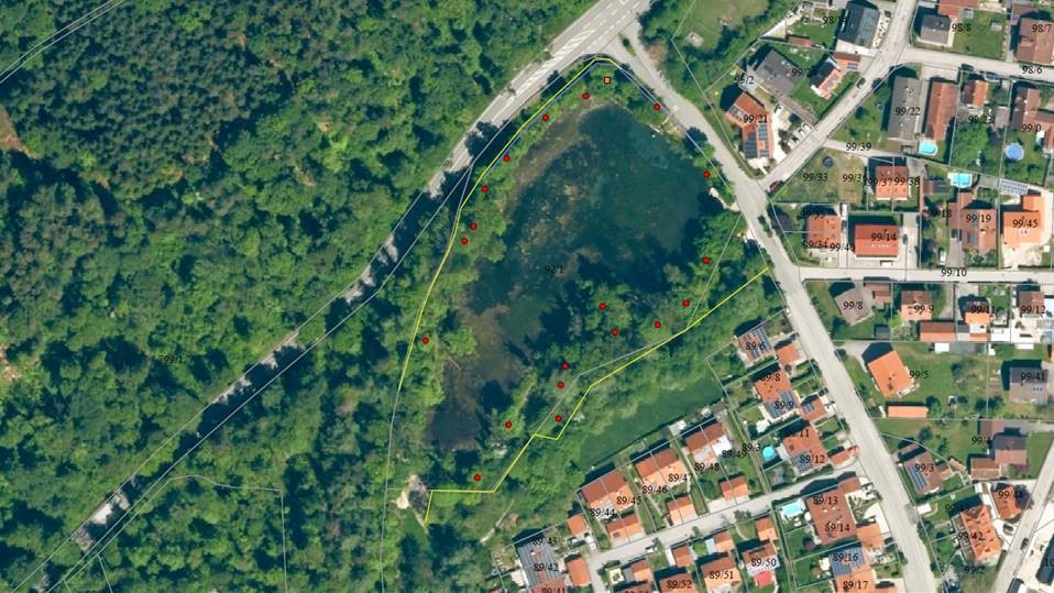 Biberzaun um den Scheuerhofweiher errichtet - die gelben Linien zeigen den Zaunverlauf, die roten Punkte den Einzelbaumschutz