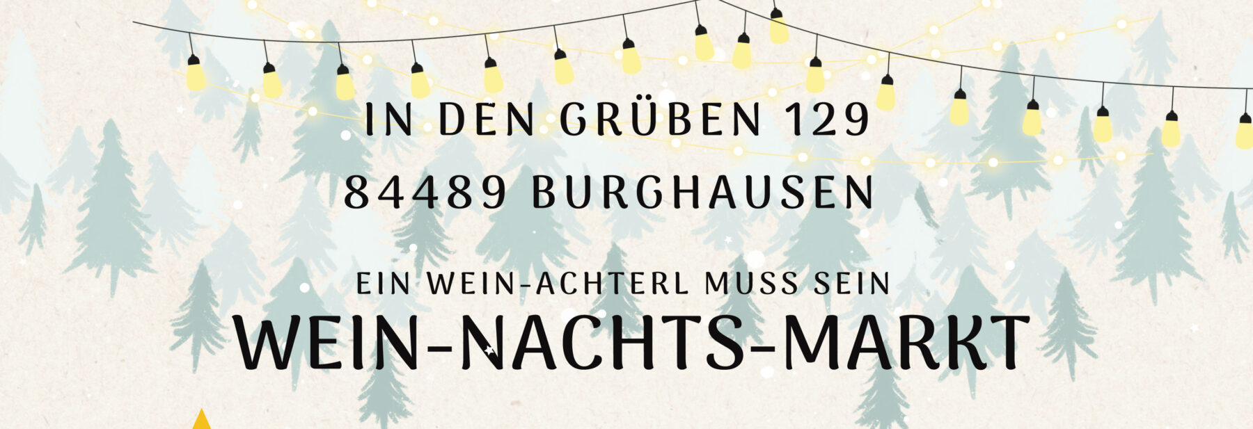 Weihnachtsmarkt 3 12 23