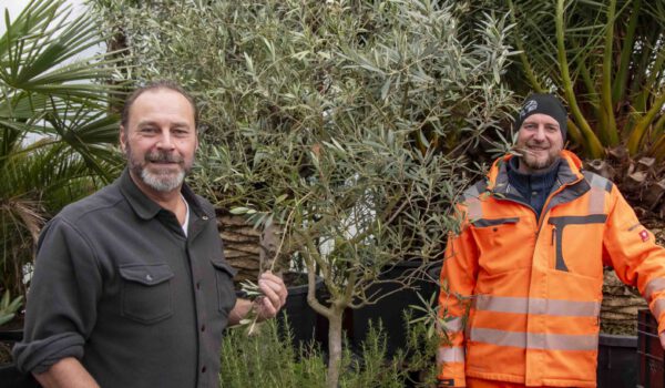 Peter Schweikl, Leiter des Bauhofs und der städtischen Gärtnerei, und Markus Kammerbauer, stellvertretender Leiter der städtischen Gärtnerei, in dem neuen Gewächshaus. © Stadt Burghausen/ebh
