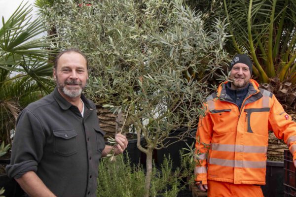 Peter Schweikl, Leiter des Bauhofs und der städtischen Gärtnerei, und Markus Kammerbauer, stellvertretender Leiter der städtischen Gärtnerei, in dem neuen Gewächshaus. © Stadt Burghausen/ebh Peter Schweikl, Leiter des Bauhofs und der städtischen Gärtnerei, und Markus Kammerbauer, stellvertretender Leiter der städtischen Gärtnerei, in dem neuen Gewächshaus. © Stadt Burghausen/ebh