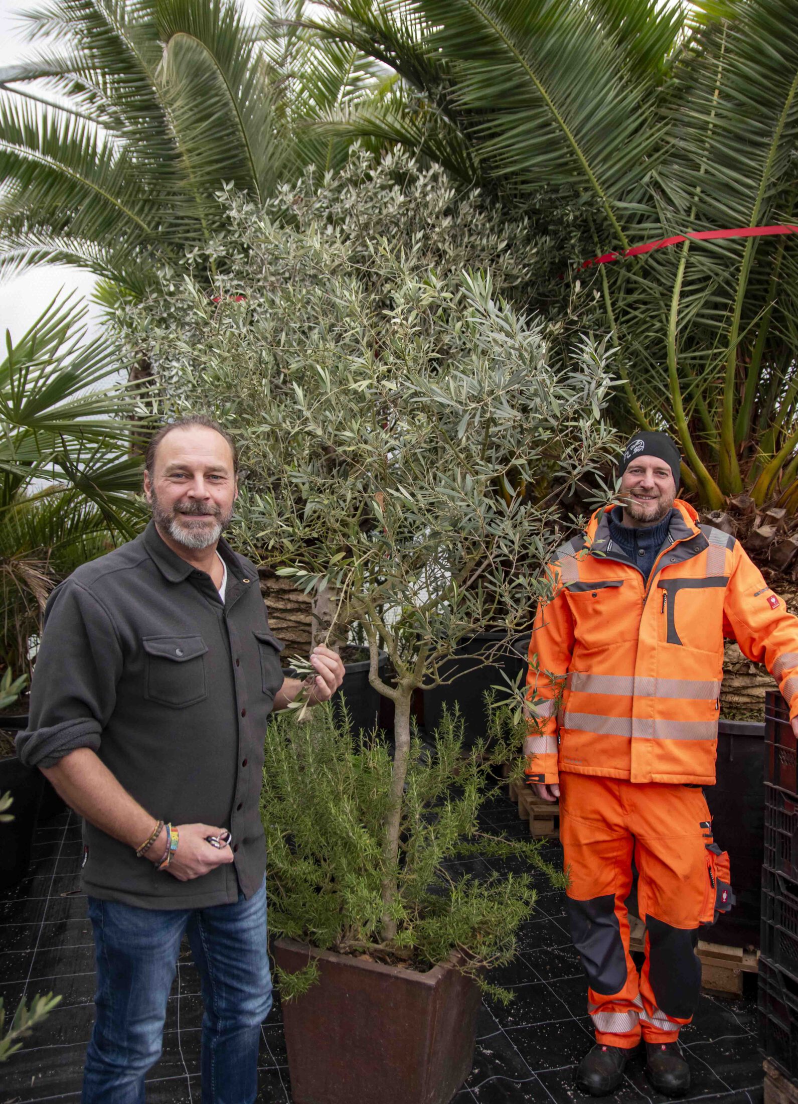 Peter Schweikl, Leiter des Bauhofs und der städtischen Gärtnerei, und Markus Kammerbauer, stellvertretender Leiter der städtischen Gärtnerei, in dem neuen Gewächshaus. © Stadt Burghausen/ebh