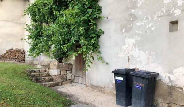 Foto Alexandra Königseder