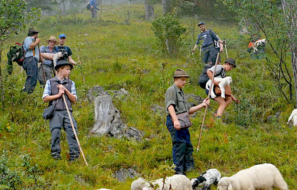 Schafstage © Konzepz + Dialog Schafstage © Konzepz + Dialog