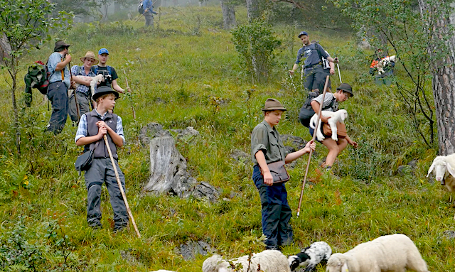 Schafstage © Konzepz + Dialog