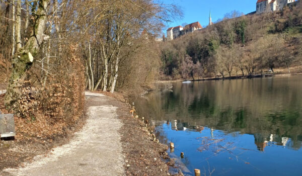 20240205_131909_klein