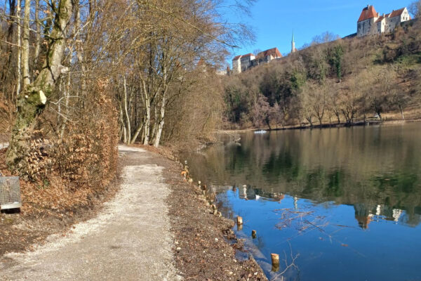 20240205_131909_klein