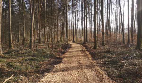 Der Trimm-Dich-Pfad nach den Arbeiten © Stadt Burghausen/Freudlsperger