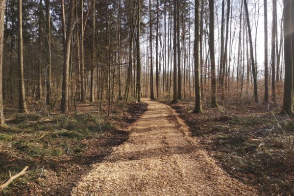 Der Trimm-Dich-Pfad nach den Arbeiten © Stadt Burghausen/Freudlsperger Der Trimm-Dich-Pfad nach den Arbeiten © Stadt Burghausen/Freudlsperger
