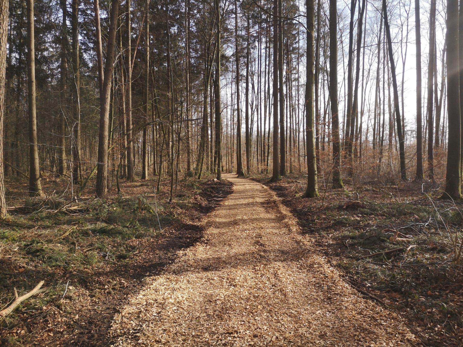 Der Trimm-Dich-Pfad nach den Arbeiten © Stadt Burghausen/Freudlsperger
