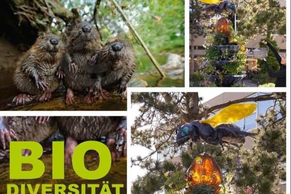 Biodiversität II-Bibermanagement in Bayern