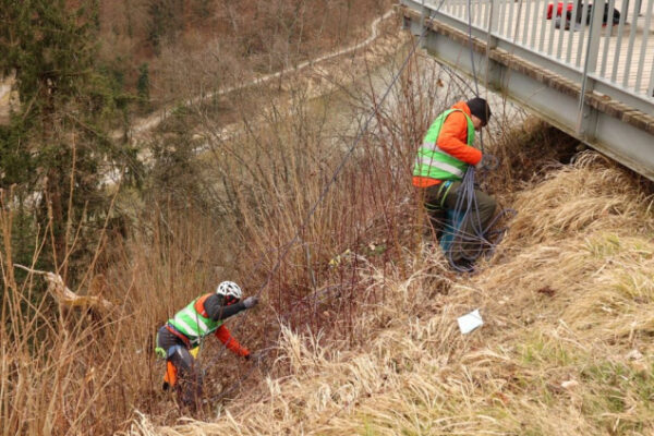 Mittermeier Steg Müllsammeln