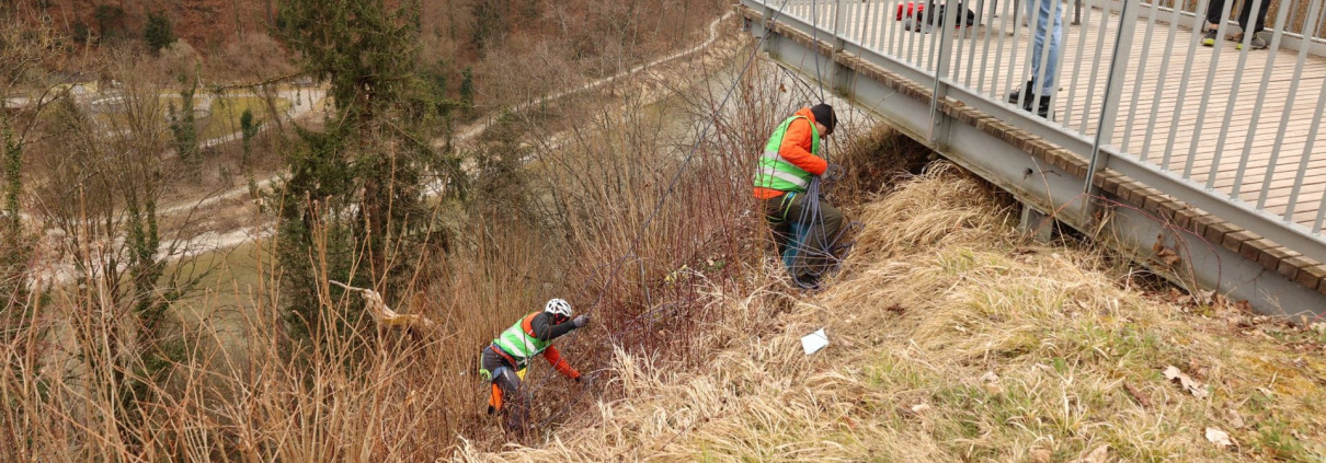 Mittermeier Steg Müllsammeln