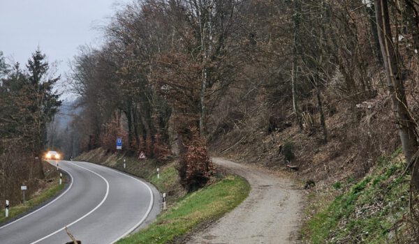 Der Alte Bahndamm und das Stacherl sind wieder frei. Sie waren seit Anfang Dezember wegen Baumbruch nach den massiven Schneefällen gesperrt. © Stadt Burghausen/ebh