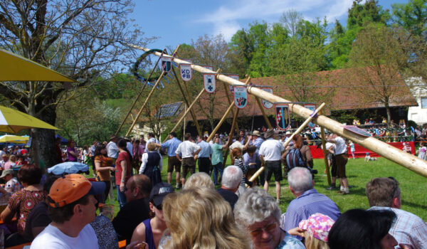 web-Maibaum-Raitenhaslach_2012