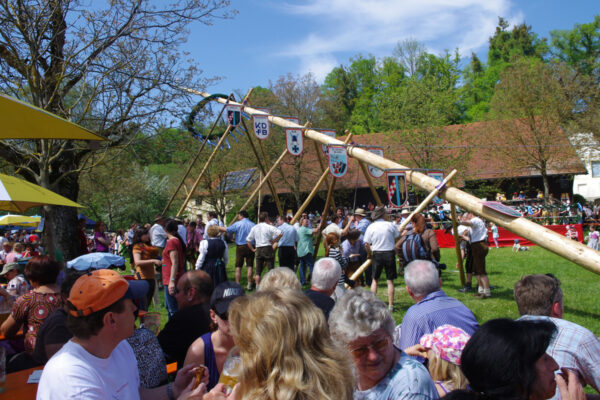 web-Maibaum-Raitenhaslach_2012