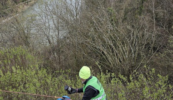 Waghalsige Müllsammelaktion - Drei DAV-Mitglieder sammelten Müll am Salzachhang © Stadt Burghausen/ebh Waghalsige Müllsammelaktion - Drei DAV-Mitglieder sammelten Müll am Salzachhang © Stadt Burghausen/ebh