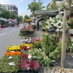 Wochenmarkt Burghausen: Drei Wochenmärkte versorgen die Bürger mit frischen, regional erzeugten Lebensmitteln  Fotocredit: Stadt Burghausen