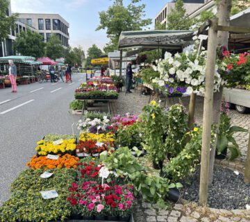 Wochenmarkt Burghausen: Drei Wochenmärkte versorgen die Bürger mit frischen, regional erzeugten Lebensmitteln  Fotocredit: Stadt Burghausen
