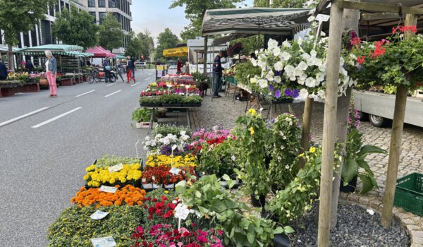 Wochenmarkt Burghausen: Drei Wochenmärkte versorgen die Bürger mit frischen, regional erzeugten Lebensmitteln. Fotocredit: Stadt Burghausen