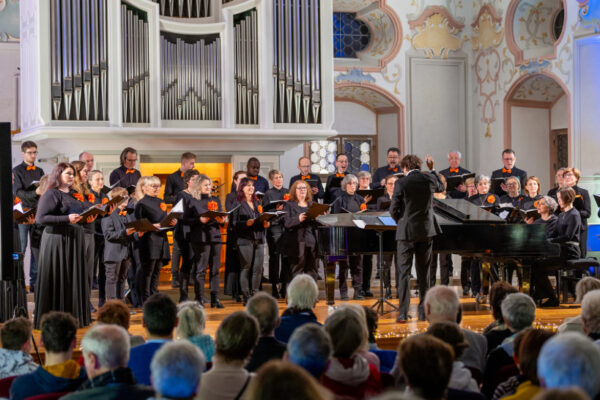 musical and more 1 © Frederik Emmer