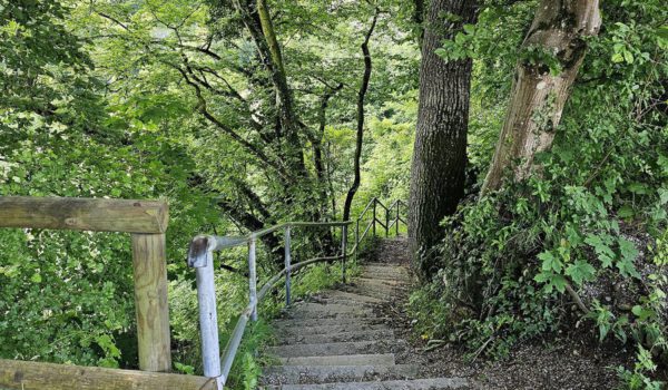 Der Kreuzpointnersteig ist wieder frei. Er war seit Anfang Dezember 2023 gesperrt © Stadt Burghausen/ebh