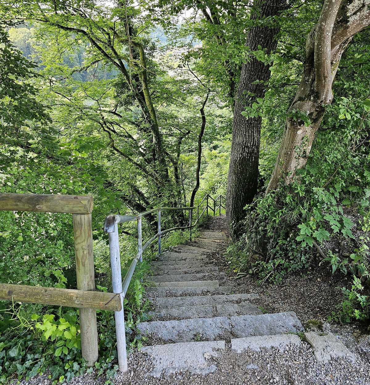 Der Kreuzpointnersteig ist wieder frei. Er war seit Anfang Dezember 2023 gesperrt © Stadt Burghausen/ebh