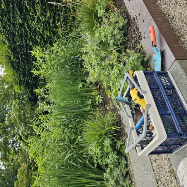 Themengärten im Stadtpark brauchen neue Paten © Stadt Burghausen/ebh