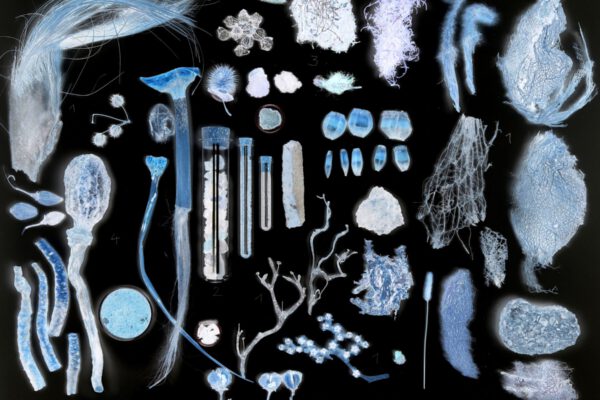 _Collage aus der Sammlung_ Heinsdorff 2 m