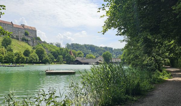 Wöhrsee Foto köx