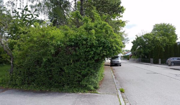 Foto: Verschiedene Hecken im Stadtgebiet Fotocredit: Stadt Burghausen / Umweltamt