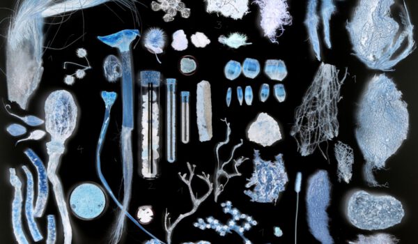 _Collage aus der Sammlung_ Heinsdorff 2