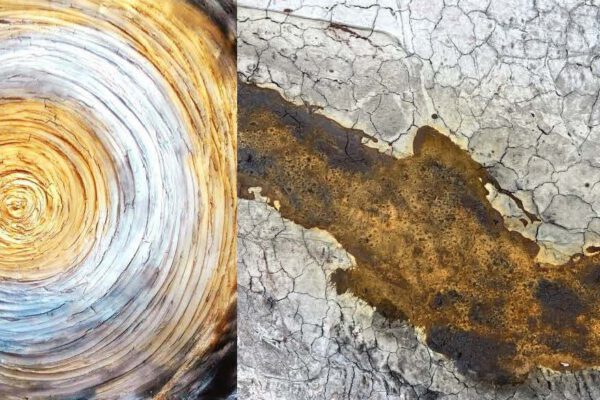 Hörl Salzinger Hörl Salzinger