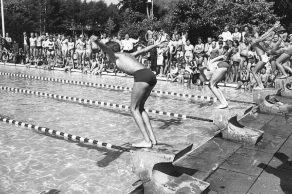 Das Becken im Freibad hat eine Fläche von 50x25 Meter. Das Becken im Freibad hat eine Fläche von 50x25 Meter.