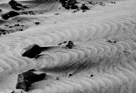 VAK Rolf Cordes Natur als Künstler Bild