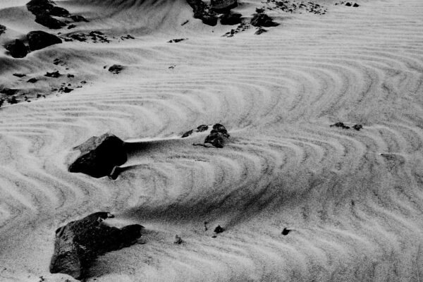 VAK_ Rolf Cordes Natur als Künstler_Bild