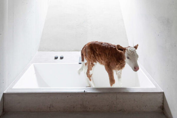 Peter Haimerl © beierle.goerlich