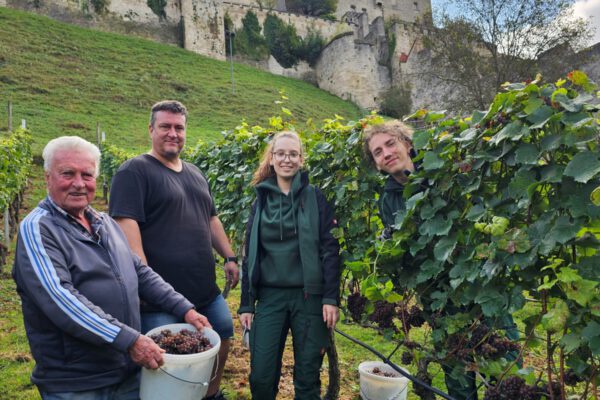 Curt Pfeifenthaler, Chef der Burghauser Weinbauern, sein Sohn Thomas mit den beiden FÖJtis Annalena Wallner und Joel Feige bei der Weinlese 2024 © Stadt Burghausen/ebh Curt Pfeifenthaler, Chef der Burghauser Weinbauern, sein Sohn Thomas mit den beiden FÖJtis Annalena Wallner und Joel Feige bei der Weinlese 2024 © Stadt Burghausen/ebh