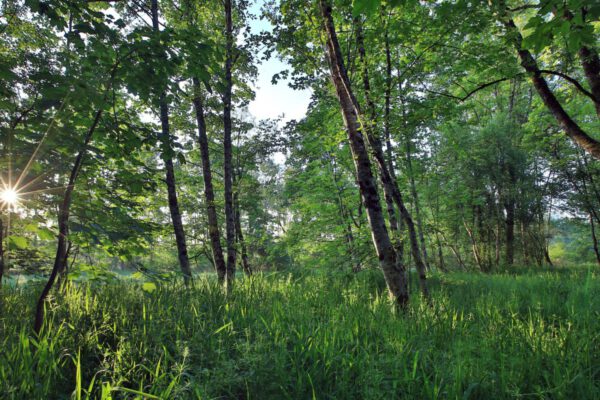 2025.04.11 Ausstellung Stadtmuseum