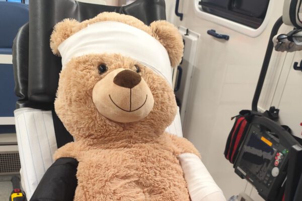 1000067281 1000067281