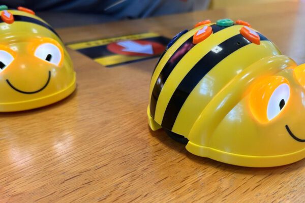 Freizi programmiert Freizi programmiert