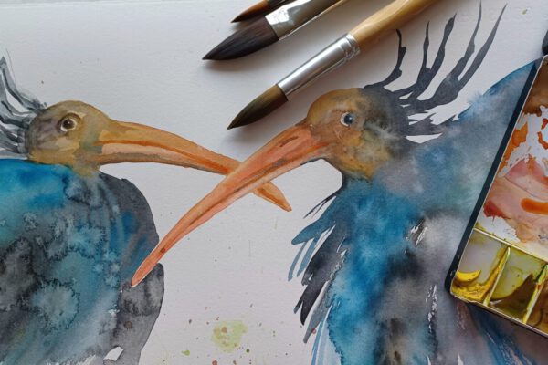 Waldrapp_Workshop Waldrapp_Workshop