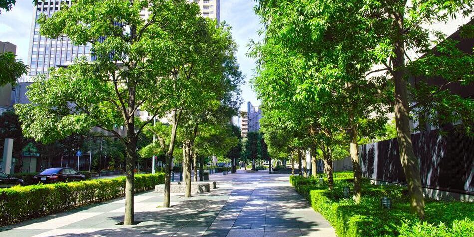 2025 05 21 Umweltreihe Bäume