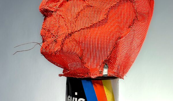 Professor, aus der Serie Spitzenhäupter, 2005/2022 © Hans Mitterer