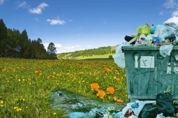 Laudato si Müll sammeln