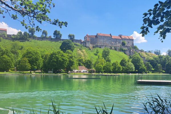 Wöhrsee RA Mai 2025