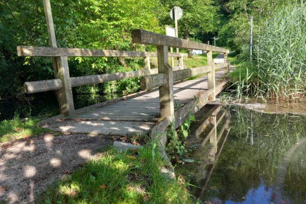 20240619_081002 20240619_081002